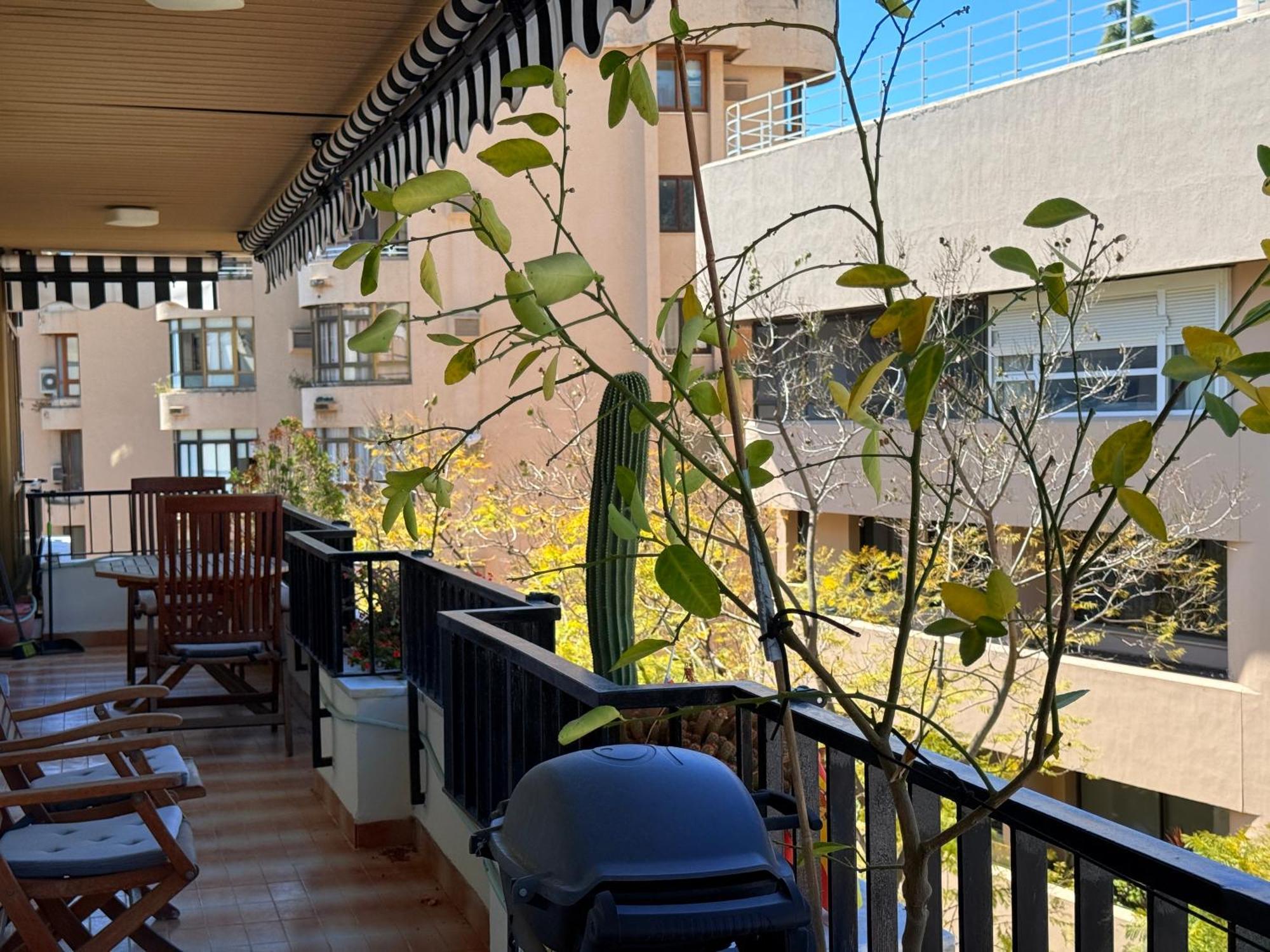 Apartamento Harbor Light Getaway - Eaw Homes *