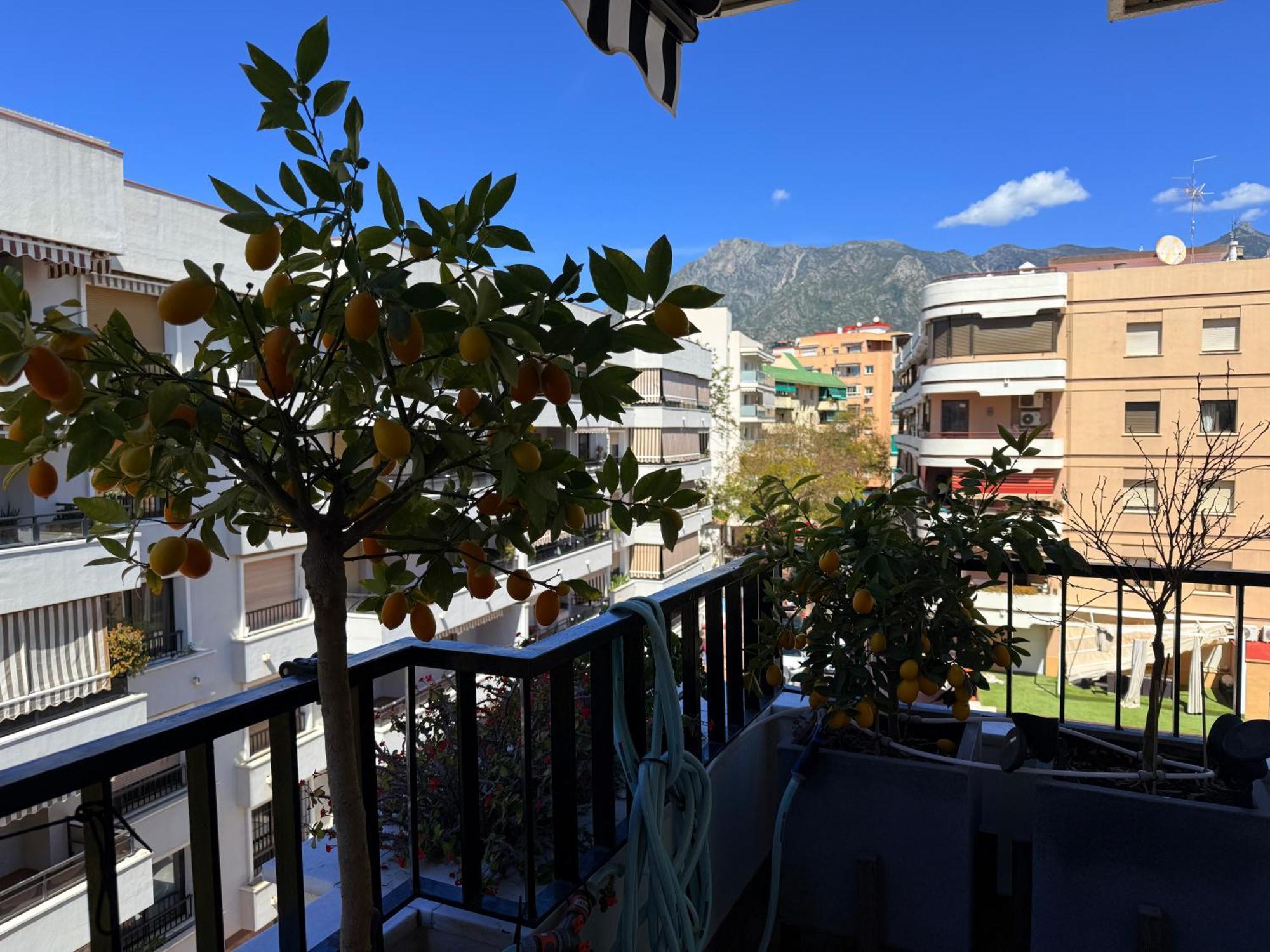 Apartamento Harbor Light Getaway - Eaw Homes *